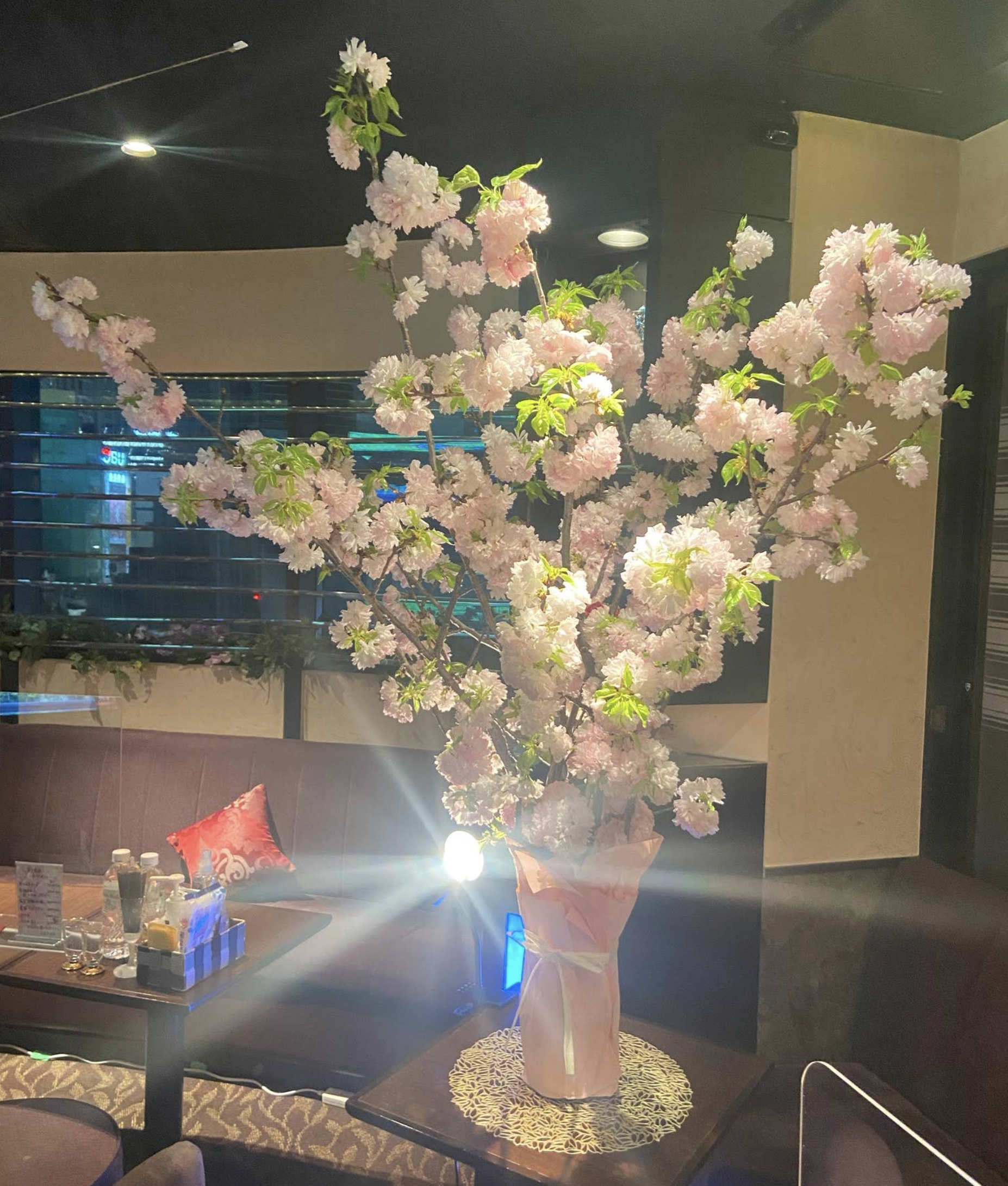 AGASAアガサ 店内写真