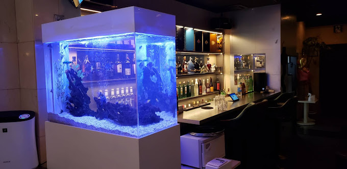 club mimi 店内写真2