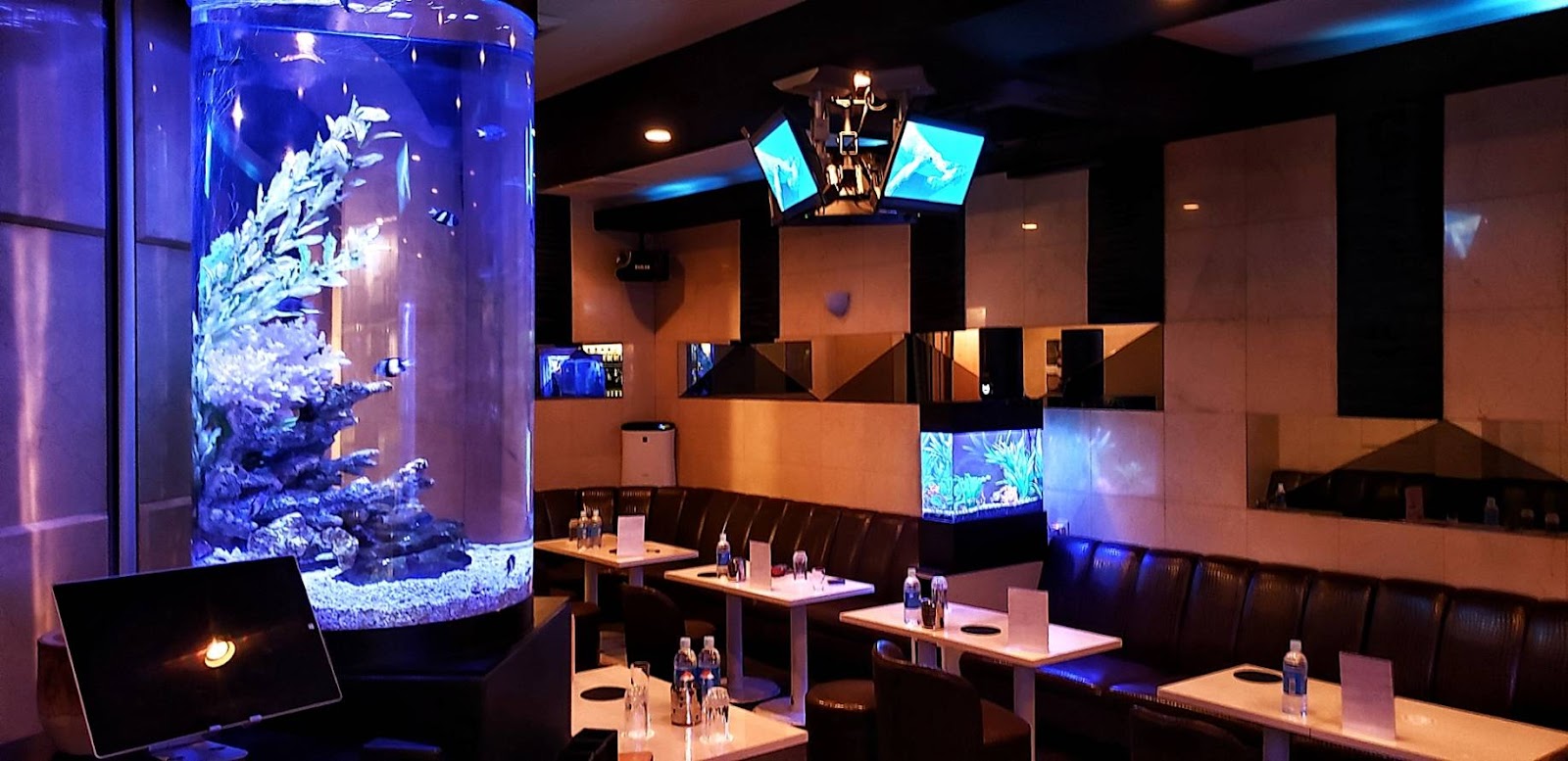 club mimi 店内写真3