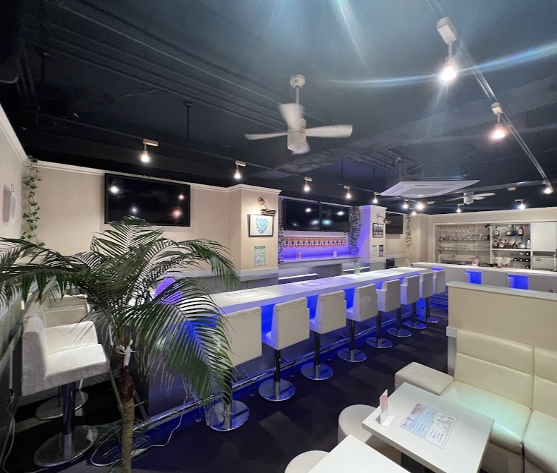 Girl's Bar Voyage 店内写真2