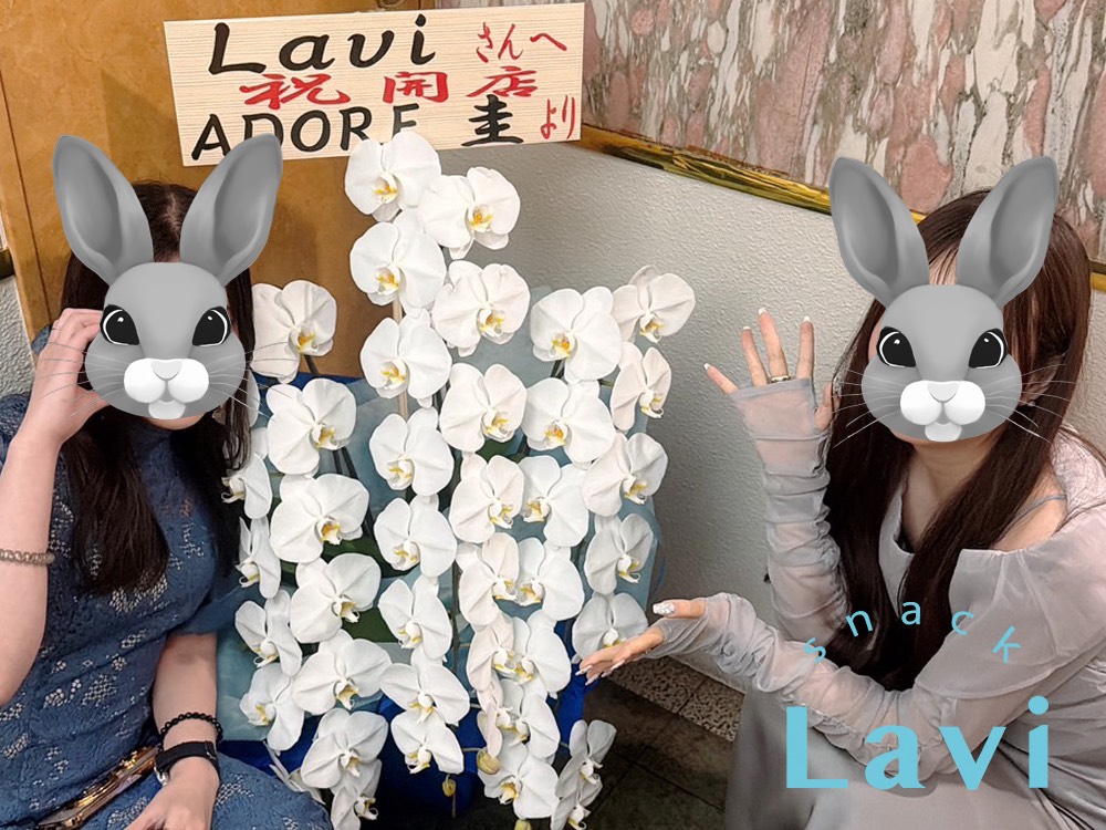 Lavi(ラヴィ) 店内写真2